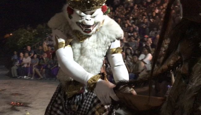 私のお隣さんが猿に絡まれ始めます