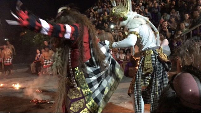 終盤、猿が暴れ出します