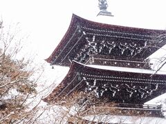 高山の国分寺を訪れた頃は再び雪が舞うように。この日はスノーボードがしたかったのですが、現地は大雪でホワイトアウトしていて状況が悪かったので計画変更です。