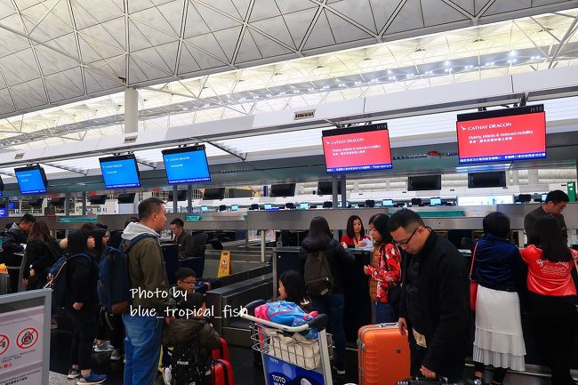 キャセイドラゴンのチェックインカウンター。赤ちゃん連れなので優先カウンターを使えるのですが、この日は家族連れが多いのか割と混んでいました。