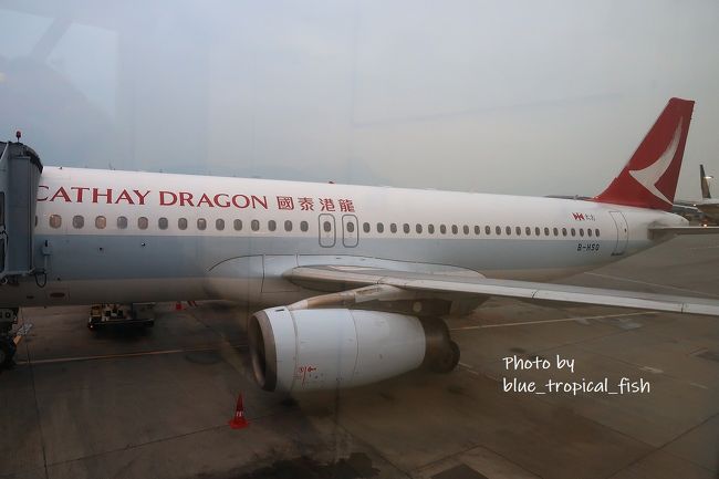 搭乗～<br /><br />前日に航空券を予約してすぐに航空会社に電話して席を予約したのですが、やっぱり一番前のバシネットの席は取れずで、3列：3列の飛行機の真ん中ぐらいの窓側と真ん中の席しか取れず。通路側はアメリカ人のおじさんで、いい人だったのが幸い…！<br /><br />