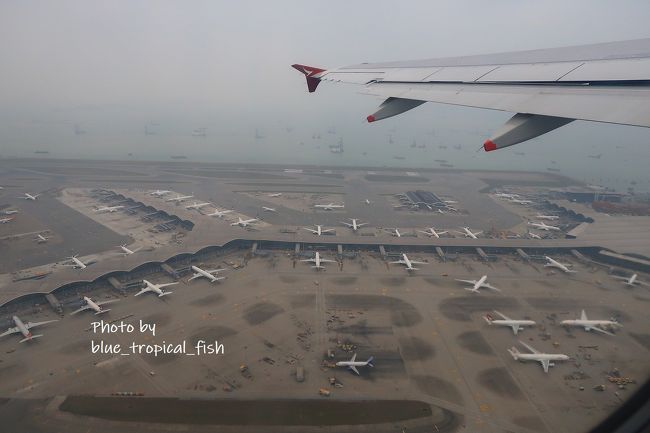 行ってきまーす。<br /><br />が、この直後、娘、ミルクもどす…娘と私の服がべちゃべちゃに…前途多難？