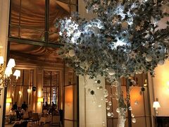 【 le Tea Time de Noel @ Restaurant Le Dali 】

https://www.dorchestercollection.com/en/paris/le-meurice/restaurants-bars/restaurant-le-dali/

17時から，ル・ムーリスのレストラン・ル・ダリで，クリスマス・アフタヌーンティー（ひとり 74 EUR, 約9,300円）。
19:30開演のオペラ座のガラコンサート前の腹ごしらえです。