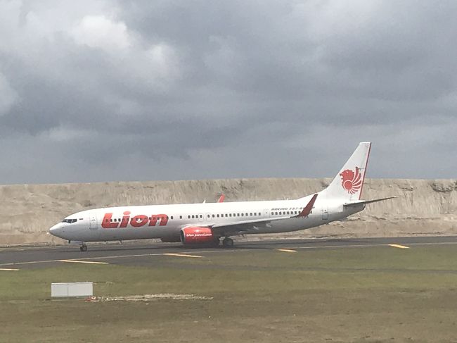 旅行行く前に色々と問題になってた航空会社