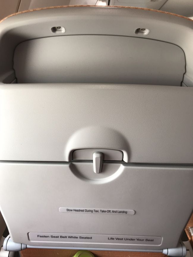 ザ・国内線！笑っ