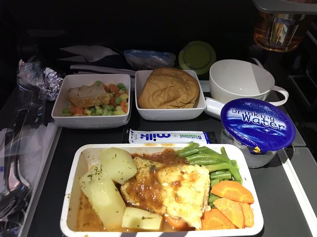 シンガポール-関空間の機内食。お魚にしたけど、体調悪すぎて半分も食べられず…この後アイスも配られたハズ