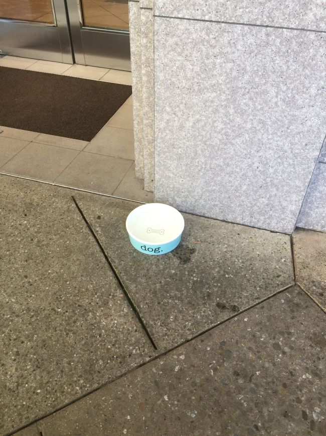 ティファニーの前の　犬の水ボウル？　<br />どこのお店にも　必ずあるのじゃｗ<br /><br />しかも　デパートも犬オケなのじゃ