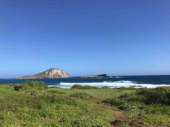 マカプウアイランド（ウサギ島）を望む海岸をちょっぴり散歩。
空の青と海の青に癒されます。

マカプウ岬とワイマナロの間