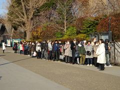 朝9時過ぎに上野公園到着、ルーベンス展の横を通り過ぎると、開館前からこの行列((+_+))皆さまお疲れ様です。

今回は訪問予定はないけれど、私なら迷わず金曜夜に訪問します。
選択肢のある都内在住に感謝します。