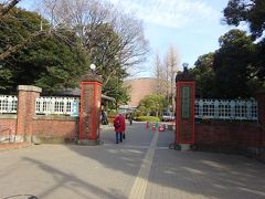 東京芸術大学