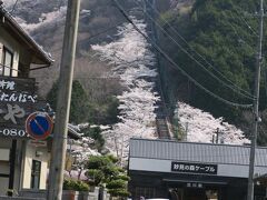 妙見の森ケーブルの入り口です。ケーブルに沿って桜が咲いていてきれい。