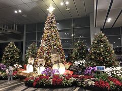 5:10頃　チャンギ国際空港第３ターミナル到着。チャンギ空港はいつ来ても季節ごとの飾りつけで楽しませてくれて、世界1位の空港と言われるのもうなずけます。豪華絢爛！