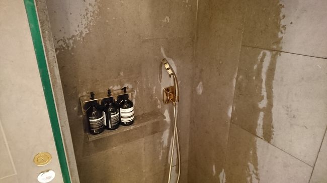 前の人が使い、掃除をしてから案内されますが、さすがに壁はまだ乾いていませんでした。まあいいですけど。