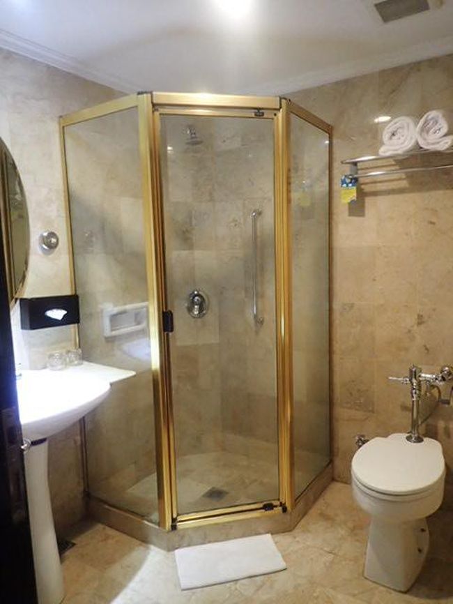 シャワーブースです。お湯の量と勢いは問題なし。