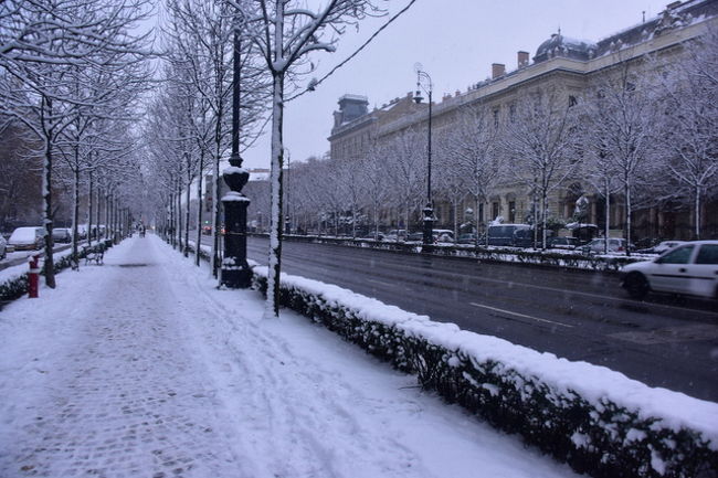 周りにはたくさんの大使館があります。
