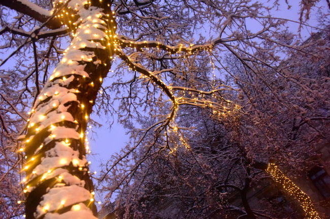 神秘的な美しさ。<br />