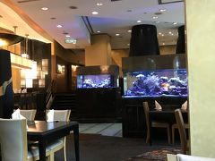ランチは外に出る元気もなくホテル内にある日本食レストラン「池輝イケテル」へ。ヒルトンオーナーズ特典で25％オフになるクーポンをもらえたので、ガッツリ食べます。