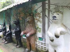 【クァンシーの滝】
世界の熊比較
