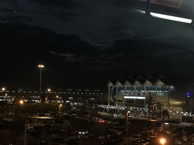 スカイトレインからの景色。