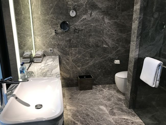 バスルーム。<br />写真では分かりませんが、アメニティはタイのメーカー「THANN」です。<br />THANNはお気に入りで、自宅でも使っています。<br />https://www.thann-natural.co.jp/