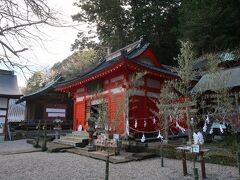 ここも初詣の定番になっちゃいました。松崎の伊那下神社。

何柱もまつられてる神様たちの中でも、天神様には学位取得のお礼でより念入りにお参りしてきました。