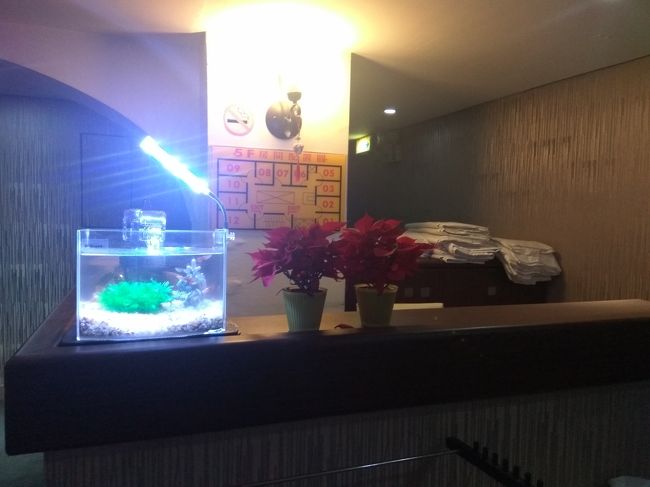 フロントで鍵をもらったエレベーターで部屋へ<br /><br />エレベーターを降りると熱帯魚が<br /><br />娘たち何故か喜ぶ