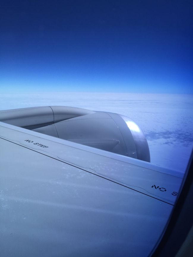 窓に光暗調節できる