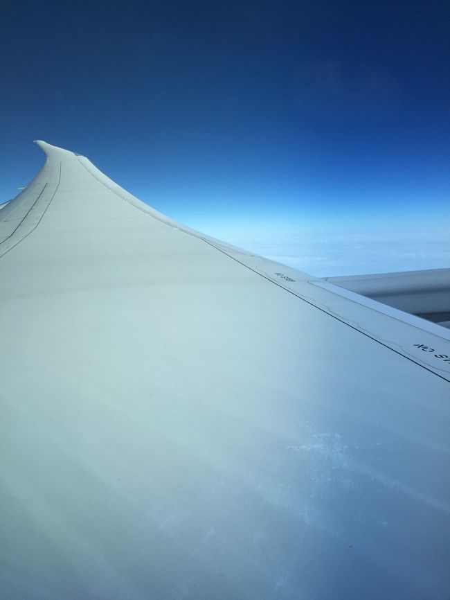 787-9の翼上がってない