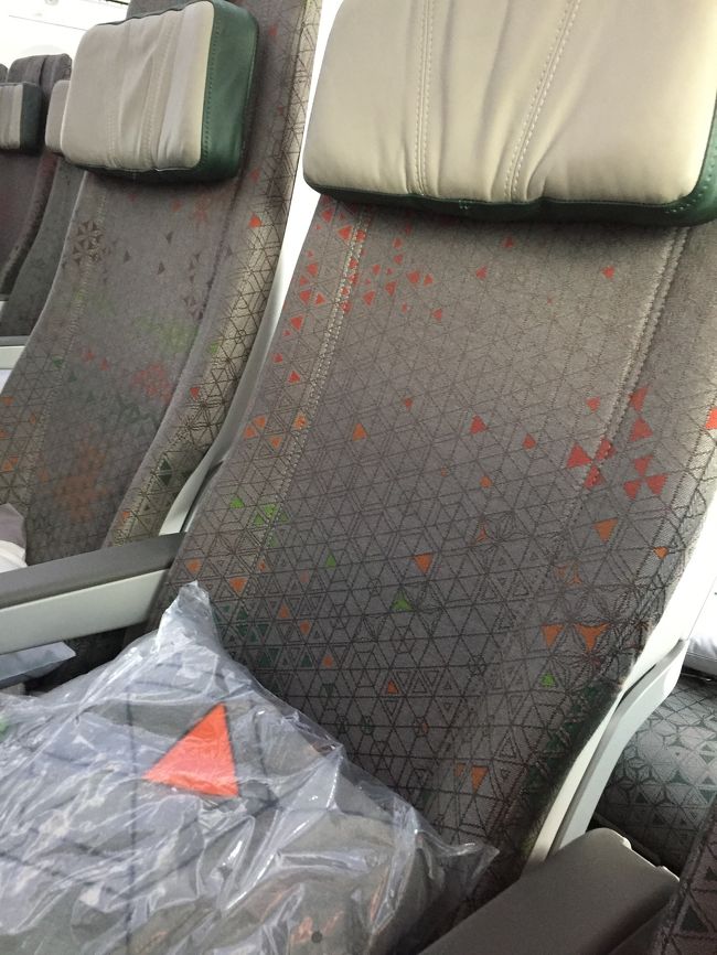 シートは薄いけど、席と席前後のスペース結構ゆったり