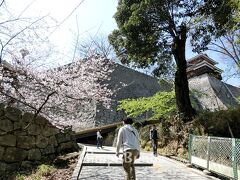 松山城へと向かいます。
この時期の桜を楽しみにして来たのに、この年は桜の開花が遅かったので、まだほんの少ししか咲いておらず残念・・・。