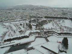 タワーに上ると五稜郭が目に入ってきました。
タワーとしてはそれほど高くはありませんが、目の前に五稜郭が
見えると迫力があります。