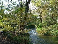 星野温泉エリアの中には小川も流れており、自然豊かな雰囲気が楽しめました。

星野温泉、かの有名な星野リゾートの誕生の地である訳ですが、今回立ち寄ったのを機に、また別の季節に訪れてみたいと思いました。
雪に閉ざされる冬にも池でスケートが楽しめたり、四季折々、様々な表情を見せてくれる魅力的な温泉地のようですね。