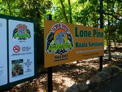 Lone Pineというコアラで有名なブリスベン市内の動物園へ
ここではコアラを抱いて写真が撮れるので多くの人が集まります