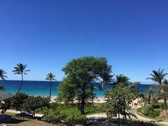 全米一位に輝いたハプナビーチ。ハワイ島には珍しい白い砂でした。