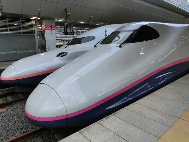 足湯新幹線 とれいゆつばさ に乗って来ました おときゅうパスで行く日帰り旅４日目 福島市 福島県 の旅行記 ブログ By Satobuさん フォートラベル