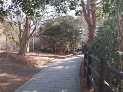 福浦島。
こんな感じの小道を歩いて行きます。
歩道は基本的に整備されていますが、中には整備されていない獣道のようなところもあります。