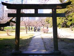 神社の近くにプチ人だかり