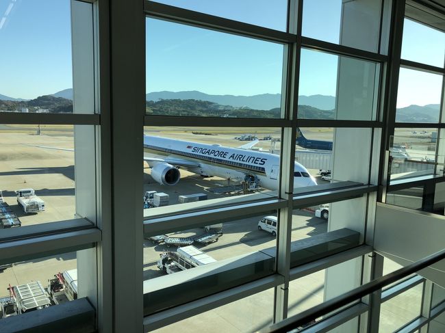 シンガポール航空を利用しました。<br />シンガポール航空のCAさんの制服が素敵でした。着てみたい。<br />