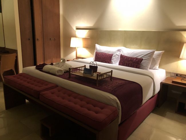 バリに着いたのは夜なので、ホテルに直行です。<br />12/25～12/31まで宿泊したのは「サダラブティックビーチリゾート」。<br />お部屋は広くてとても快適でした。