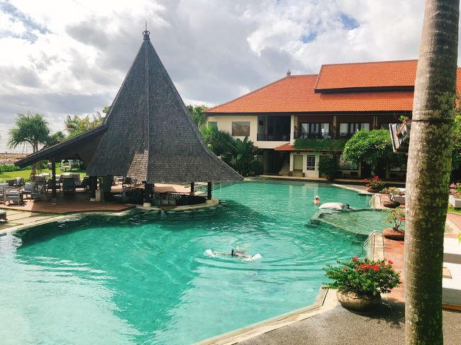 朝食会場からの眺めです。<br />プールバーもついており、南国感あふれる良い雰囲気です。