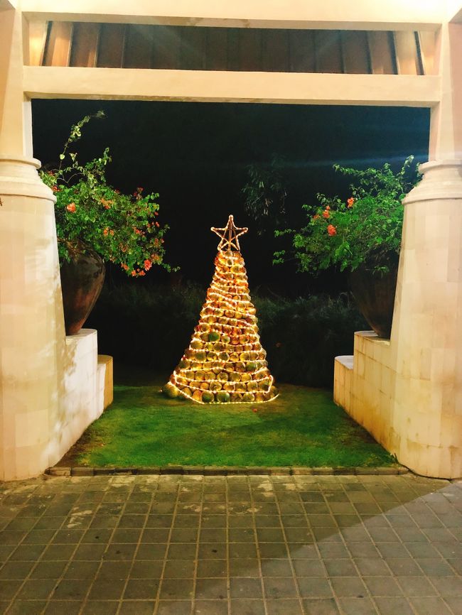 バリではクリスマスを過ぎても、結構長い期間クリスマスツリーが飾ってあるところが多いです。<br />ホテルのツリーはヤシの実のようなものでできており、シンプルでかわいいです。