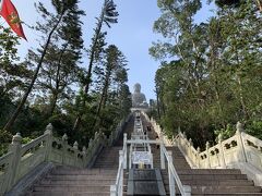 天壇大仏様が見えてきました。ここ登るのね・・。