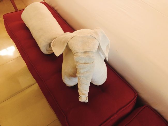 部屋にプールタオルが置いてあるのですが、タオルで象をつくってくれていたり、うさぎや、白鳥をつくってくれていたり…。<br />ほっこりします。