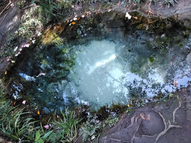 プノンクーレンにある湧き水。明治神宮の清正井と同じく、パワースポットらしいです。