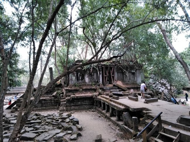 ベンメリア<br />これは良かった