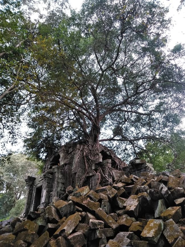 雨季はもっとキレイだそうです