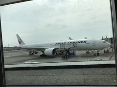 準備中の飛行機を見ながら、期待が膨らみます。