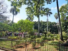 アルマス広場。
観光客も多く、憩いの場。