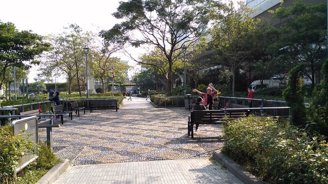 太極拳をやっている人。