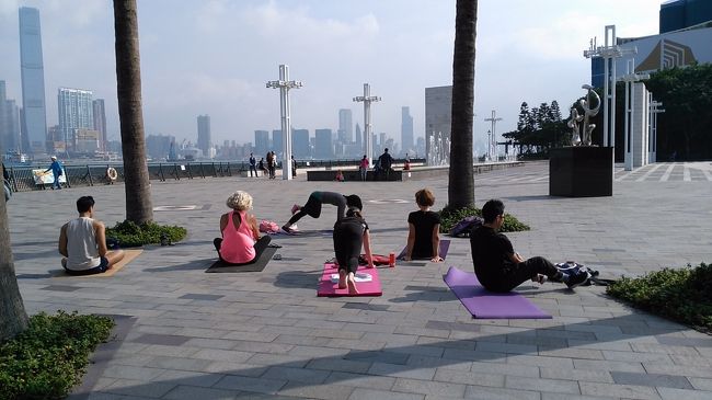 ヨガ教室も！気持ちよさそう。